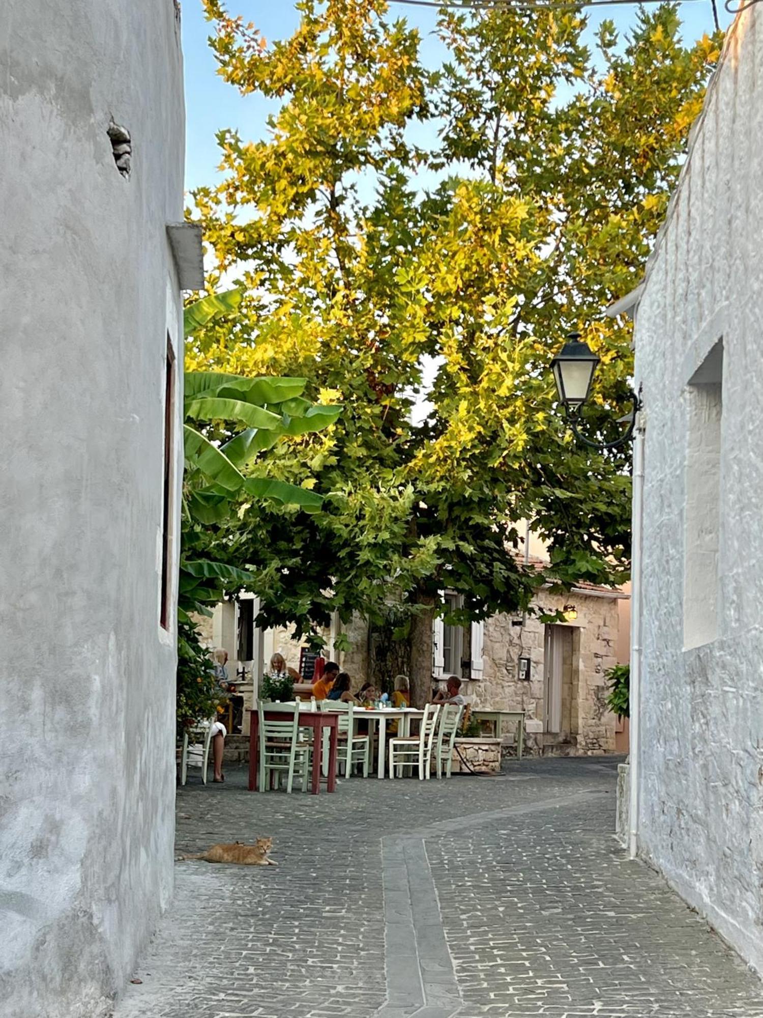 Villa Metapothia Gavalochori Crete Exterior photo